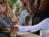 2019 hegeringschau 007