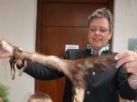 2019 hegeringschau 008