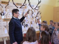 2019 hegeringschau 011