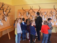 2019 hegeringschau 018