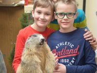 2019 hegeringschau 023