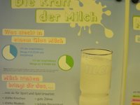 2019 seminarbauerinnen 020