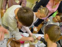 2019 seminarbauerinnen 022